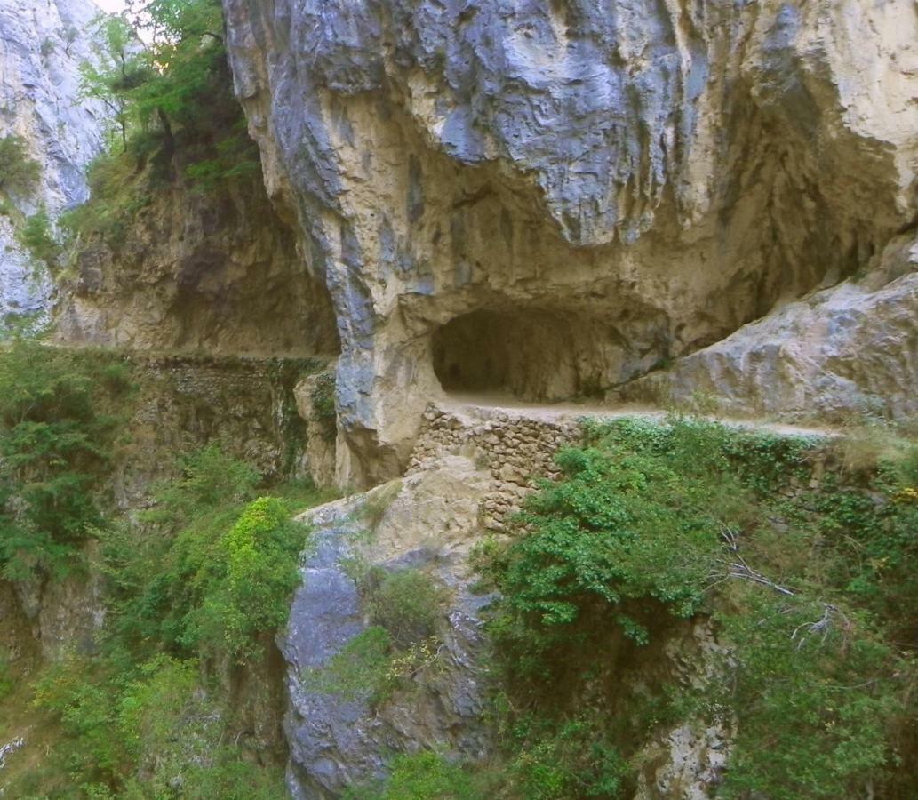 Piloña Turismo Rural El Sidron旅馆 外观 照片